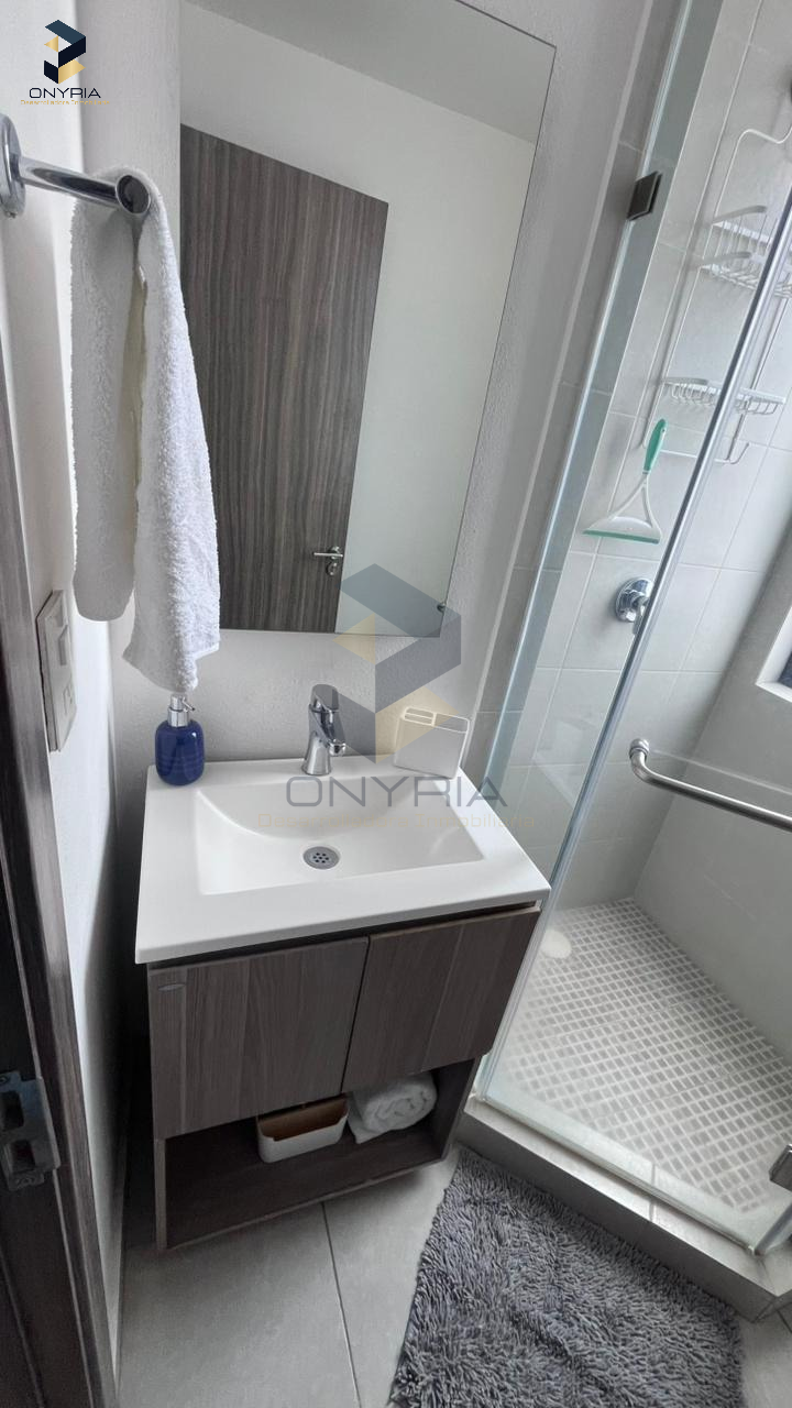 Casa en renta en Cosmopol LifeStyle | P.Holanda - T.Rotte, Depto, 1504 — foto 6