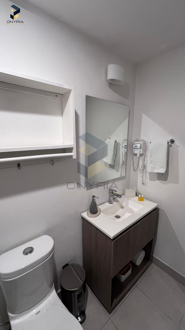 Casa en renta en Cosmopol LifeStyle | P.Holanda - T.Rotte, Depto, 1504 — foto 8