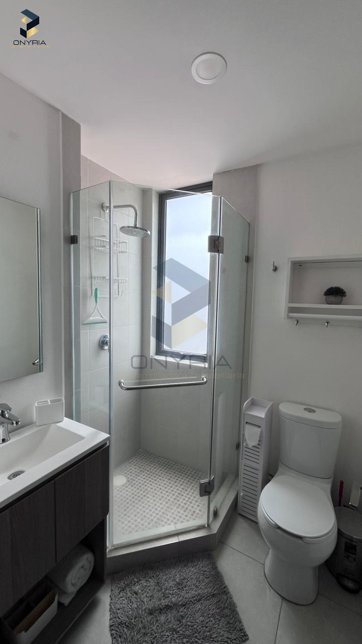 Casa en renta en Cosmopol LifeStyle | P.Holanda - T.Rotte, Depto, 1504 — foto 9